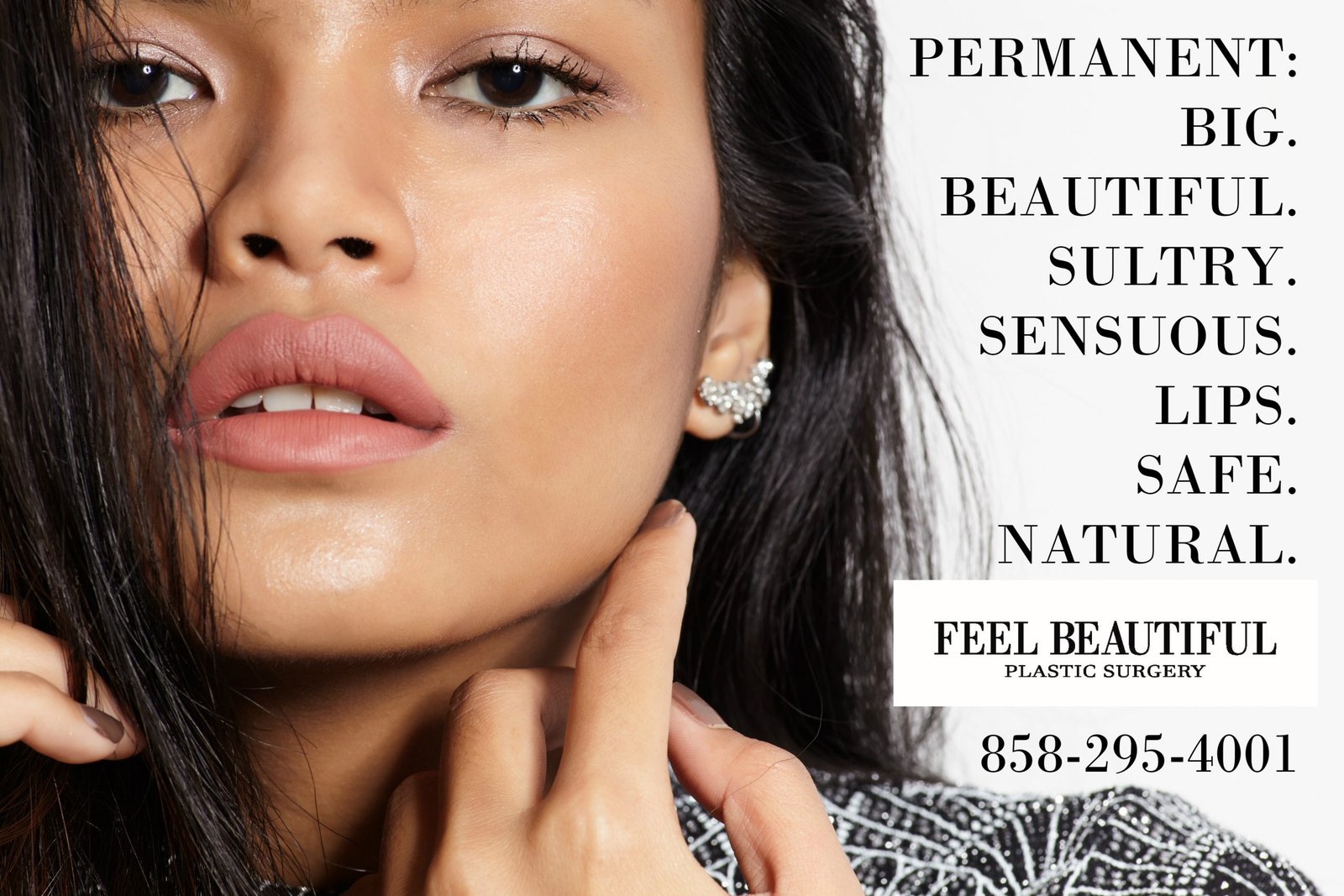 LIPS PERMANENT 1 LIPS PERMANENT 1
