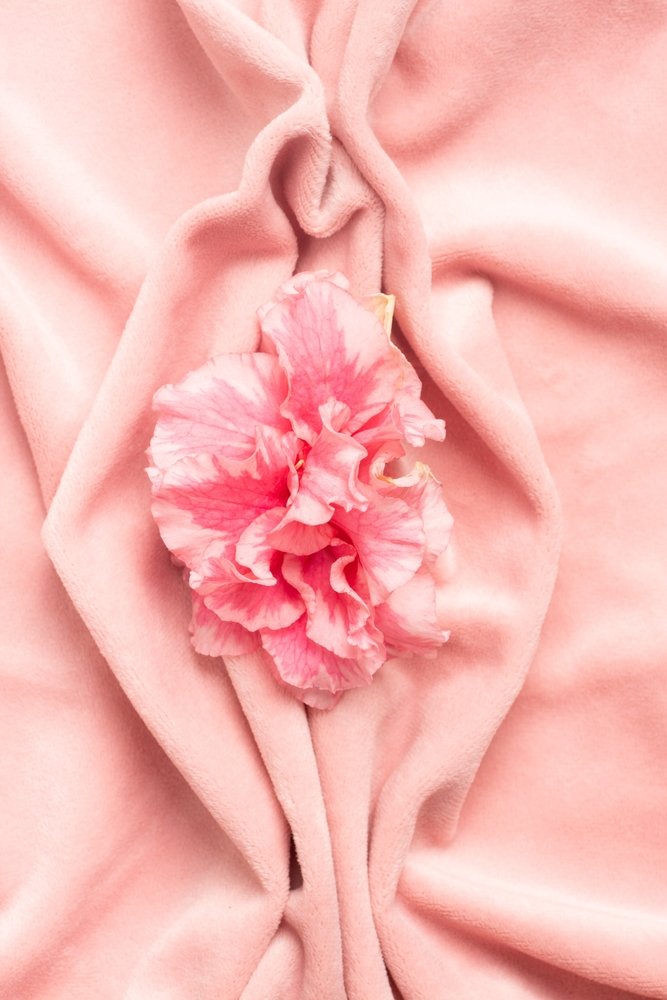 shutterstock 2250655681